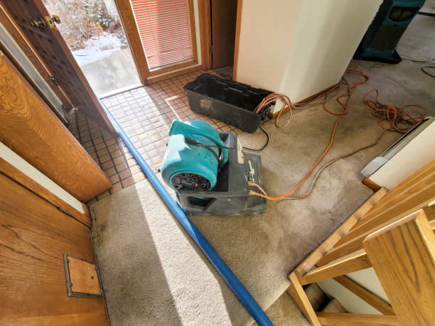 Best Water damage cleanup near me  in Henderson, TX