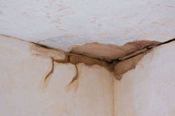 Best Water damage repair service  in Henderson, TX