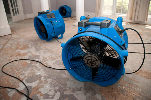 Best Flood restoration services  in Henderson, TX