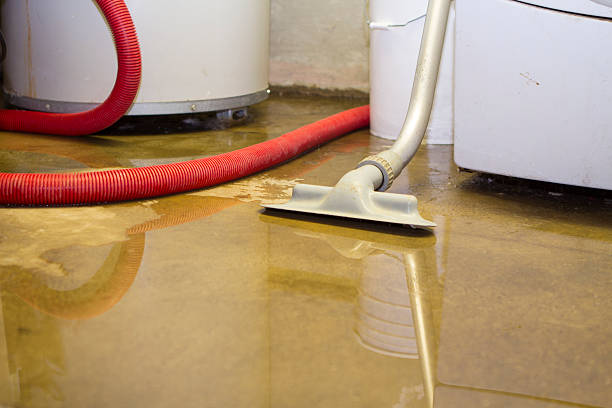 Best Professional water damage repair  in Henderson, TX