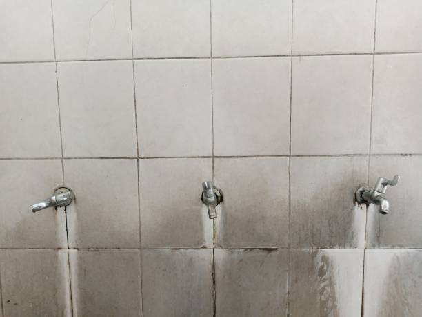 Best Ceiling water damage repair  in Henderson, TX
